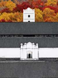 上海周邊被《國家地理》推薦的海邊小城