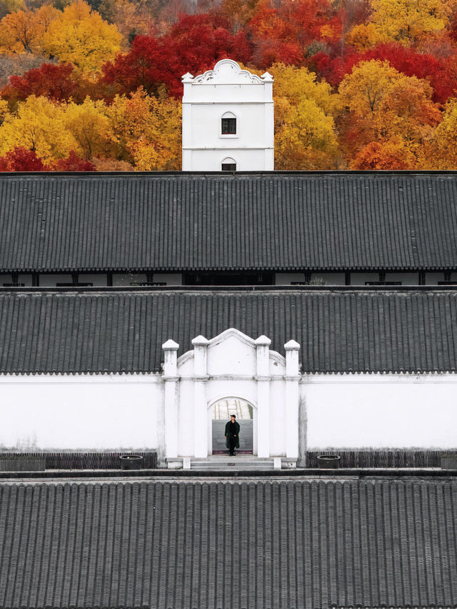 上海周邊被《國家地理》推薦的海邊小城 上海周邊被《國家地理》推薦的海邊小城
