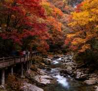 秋日限定！南江十八月潭，藏在秦巴的彩色仙境