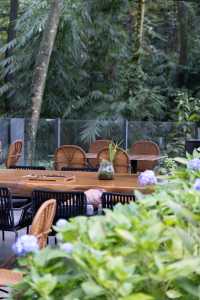 青城山避世神店私湯泡著看山霧