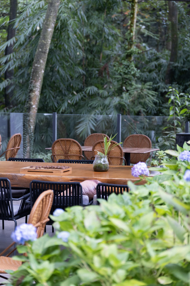 青城山避世神店私湯泡著看山霧