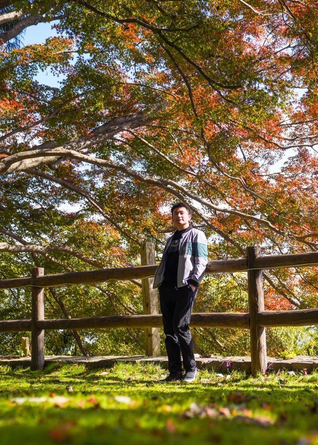 楓情莫干,醉美深秋 楓情莫干,醉美深秋