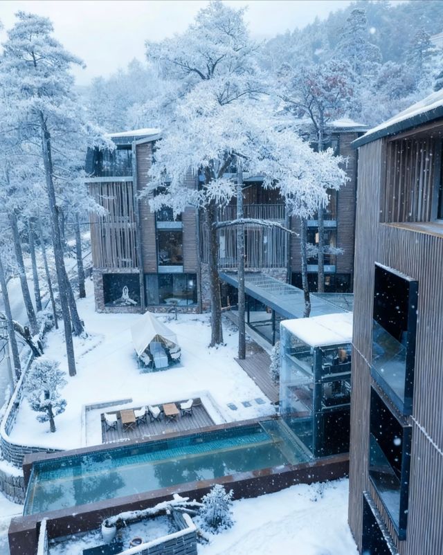 廬山霧淞仙境！這家百年別墅酒店封神了