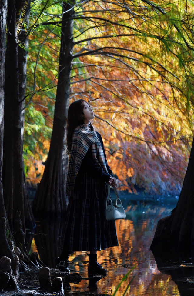 一腳跌進燕雀湖油畫森林 一腳跌進燕雀湖油畫森林