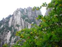 世界文化自然雙遺產——黃山