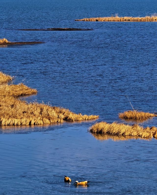 雲南秋日封神!普達措私藏玩法,避開人潮邂逅童話秘境 雲南秋日封神!普達措私藏玩法,避開人潮邂逅童話秘境