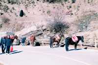 四姑娘山3日旅拍攻略冬季絕美山景這樣拍！