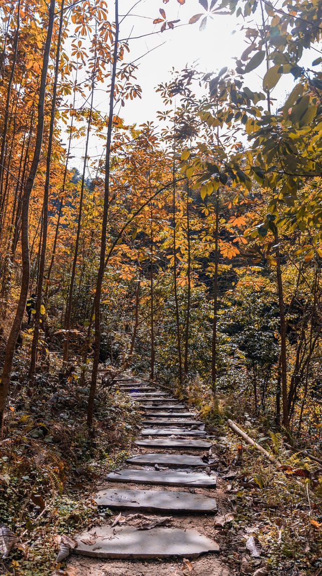 陝西小九寨！黃柏塬2日遊超全攻略