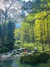 11月秋假|張家界旅遊4天3夜遛娃路線