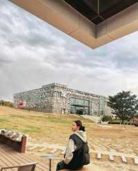 瀋陽出差偶遇的溫柔，藏在豪澤與莫子山的秋裡