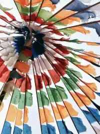 七月的抓喜秀龍草原