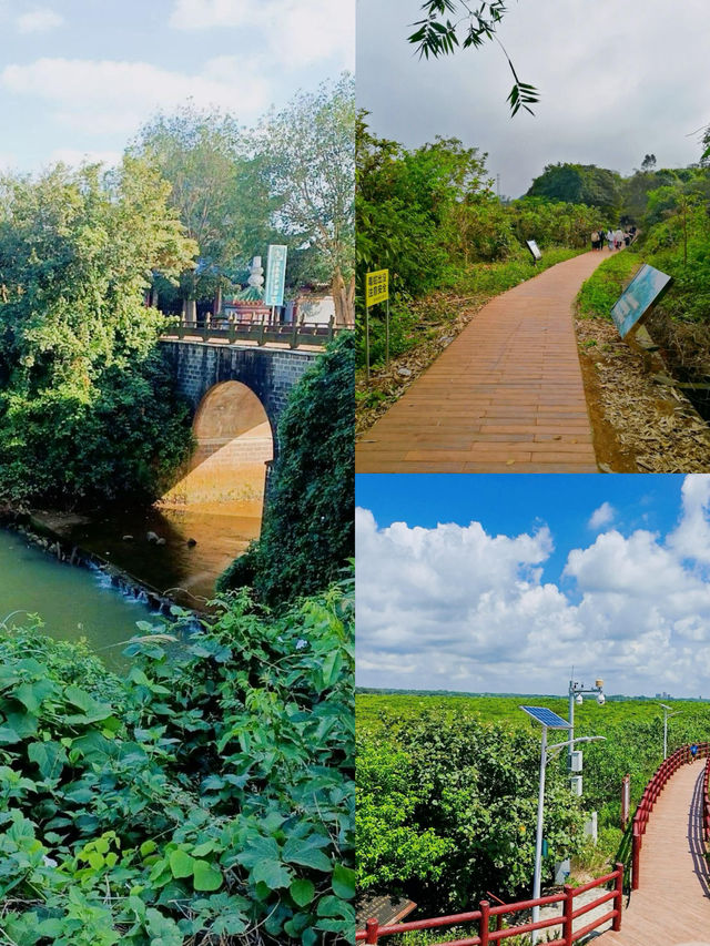 被國家地理點名!惠州大亞灣的“翡翠綠心”有多絕? 被國家地理點名!惠州大亞灣的“翡翠綠心”有多絕?