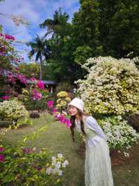 廣州版阿那亞！冬日繁華+牛羊牧場太治癒！