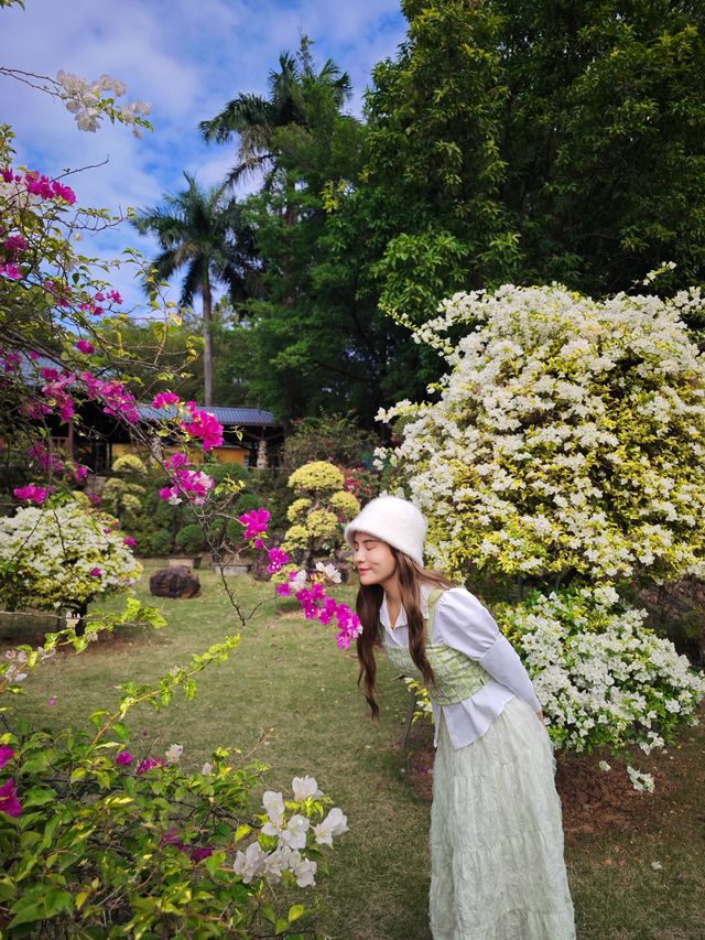 廣州版阿那亞！冬日繁華+牛羊牧場太治癒！