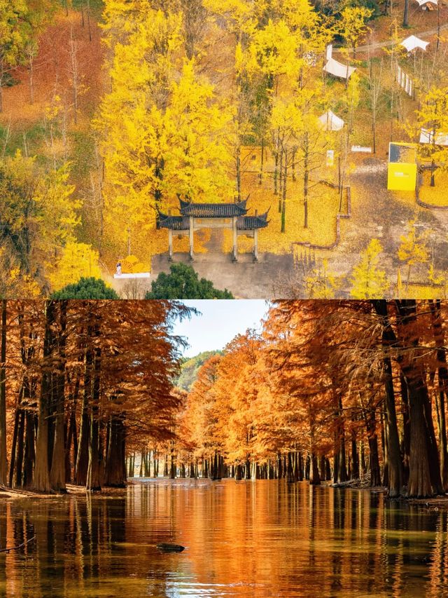 12月帶娃必衝 12月帶娃必衝