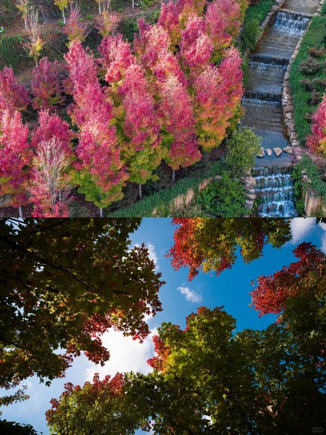 昆明等地5天遊這些隱藏玩法必看