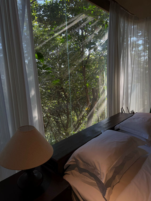 來版納一定要住的酒店！