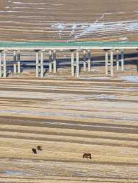 零下15°C勇闖樺皮嶺這份徒步攻略必須碼住!