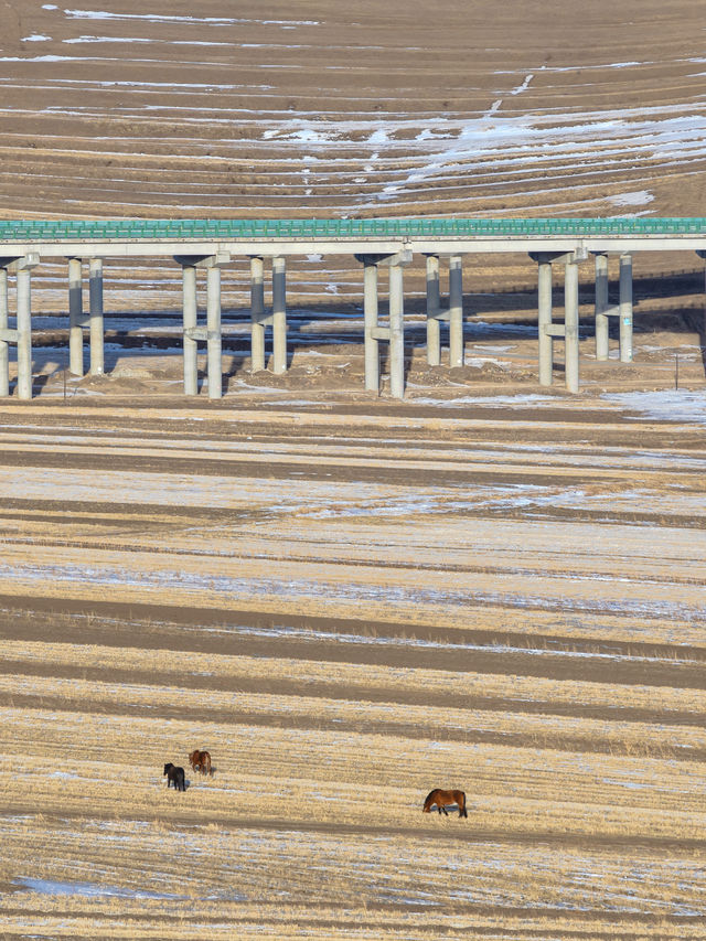 零下15°C勇闖樺皮嶺這份徒步攻略必須碼住! 零下15°C勇闖樺皮嶺這份徒步攻略必須碼住!