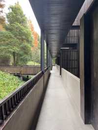 這一站躲進了青城山的森林氧吧