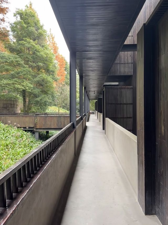 這一站躲進了青城山的森林氧吧