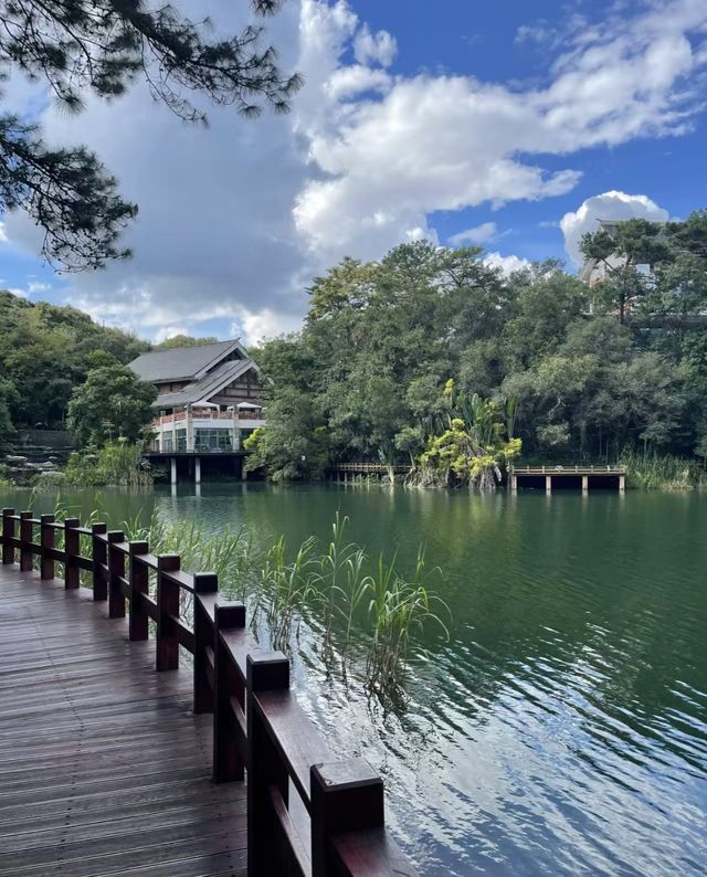 雲南普洱|「梅子湖公園」城市裡的天然氧吧 雲南普洱|「梅子湖公園」城市裡的天然氧吧