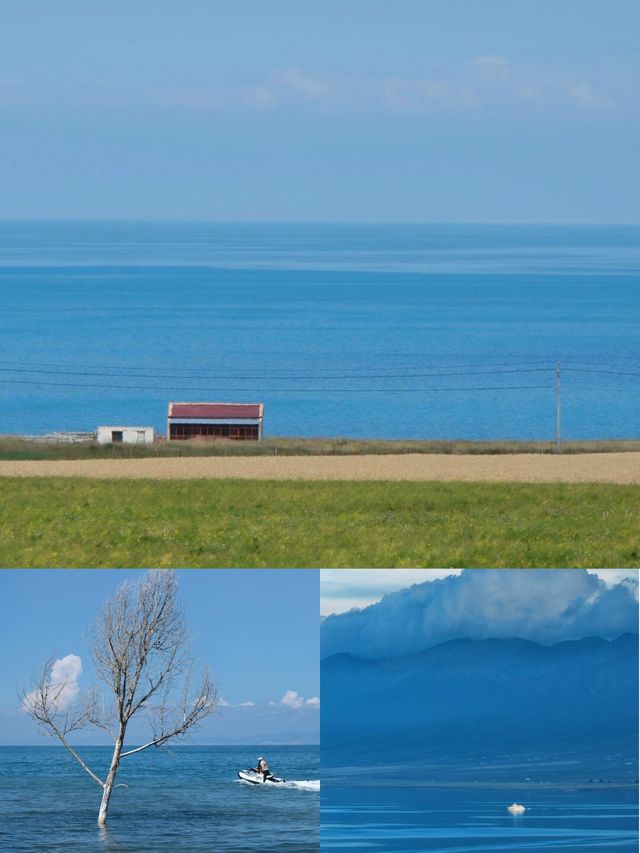 青海湖絕美機位大公開!二郎劍半島才是精髓所在 青海湖絕美機位大公開!二郎劍半島才是精髓所在
