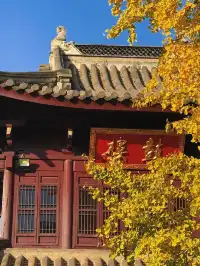 南京古雞鳴寺 | 邂逅千年梵剎的禪意