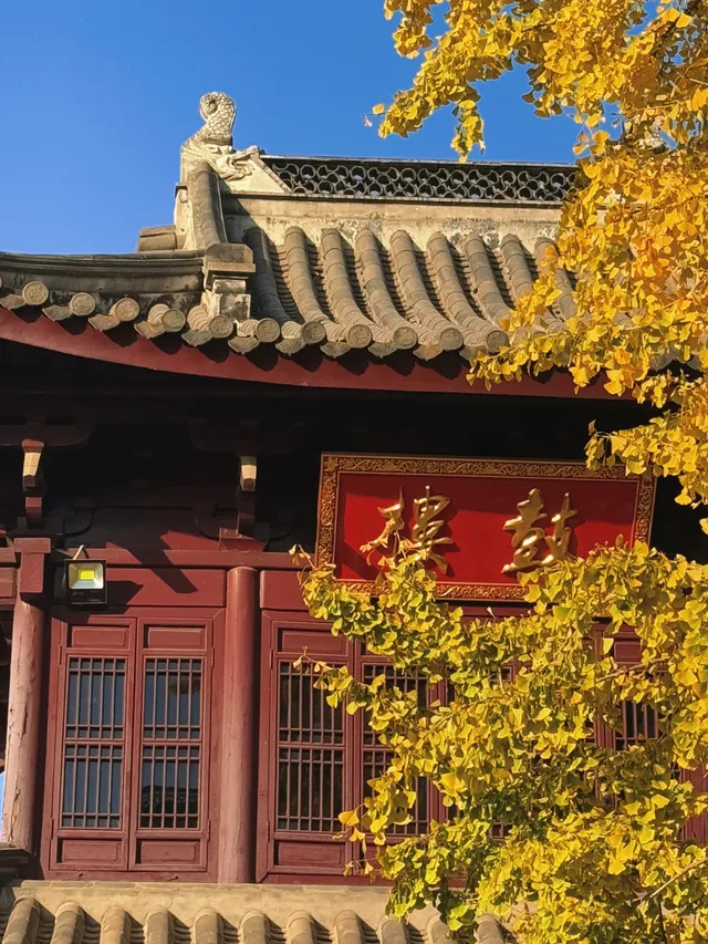 南京古雞鳴寺 | 邂逅千年梵剎的禪意