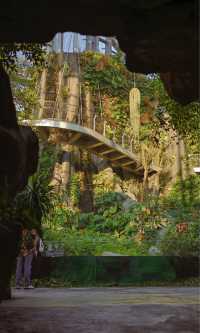 綠野仙蹤般治癒之旅