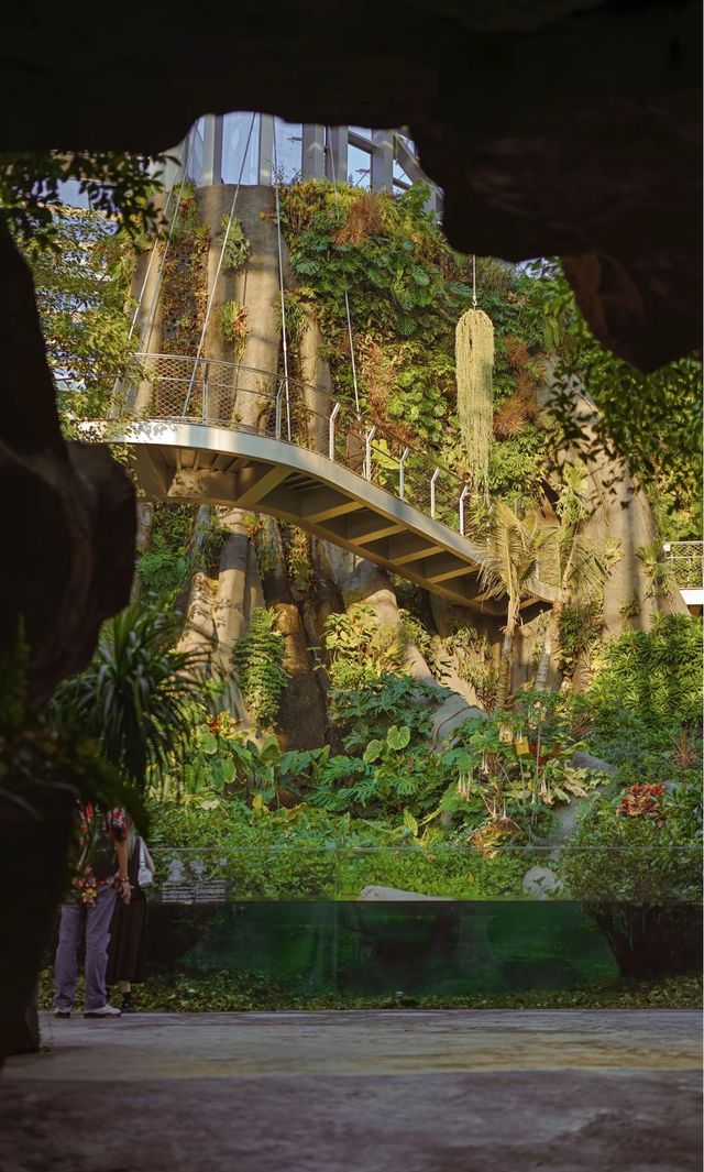 綠野仙蹤般治癒之旅