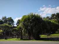 中國科學院西雙版納熱帶植物園真的太寶藏了，必須安利給大家