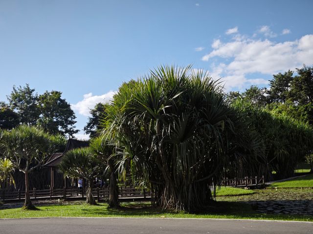 中國科學院西雙版納熱帶植物園真的太寶藏了，必須安利給大家