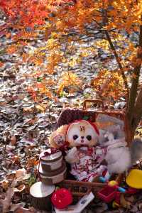 別衝日本了!上海金山這片日本了!