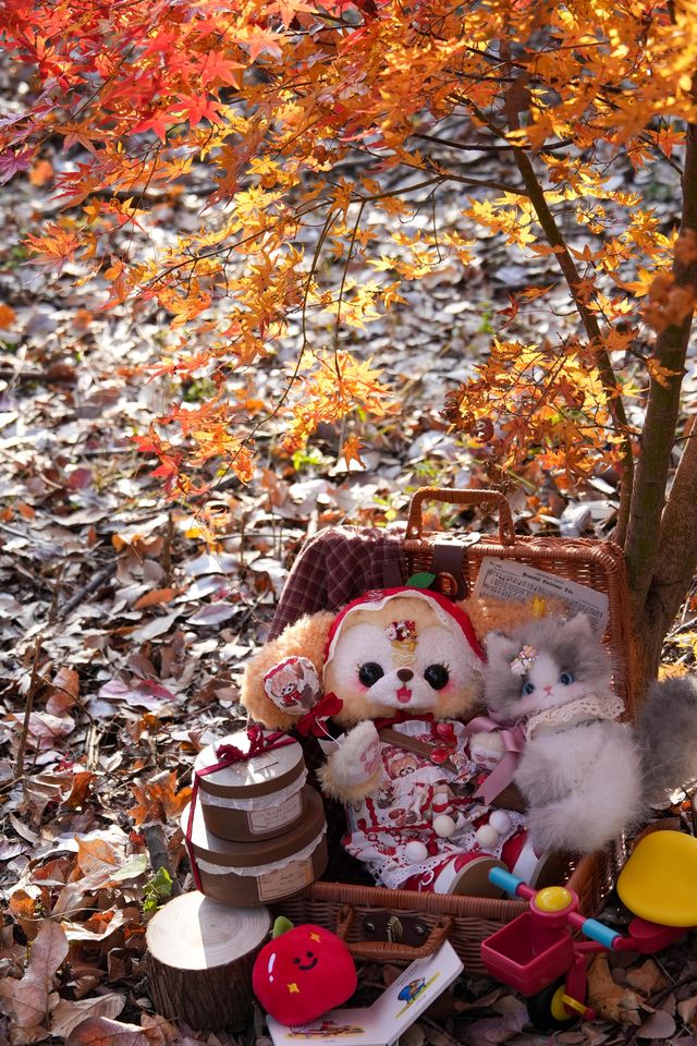 別衝日本了!上海金山這片日本了! 別衝日本了!上海金山這片日本了!