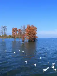 大理旅行 ｜龍龕碼頭入口這個機位太美了吧