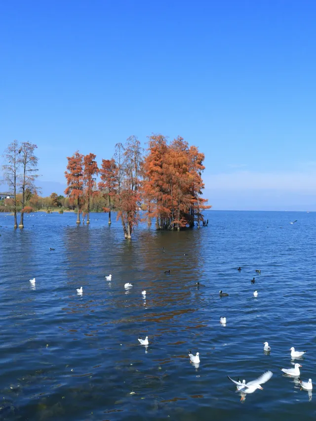 大理旅行 ｜龍龕碼頭入口這個機位太美了吧