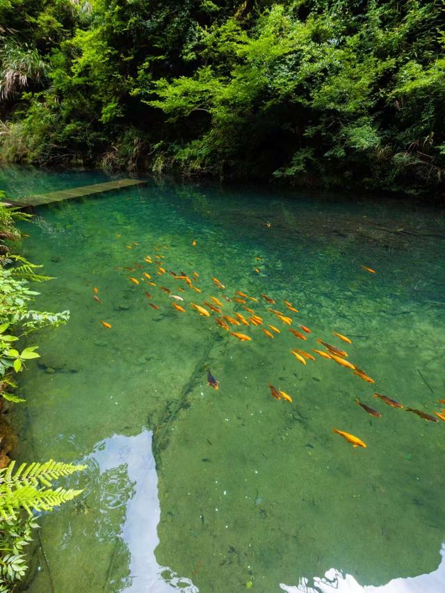 徐霞客同款山水避暑!2天1夜玩轉雁蕩山! 徐霞客同款山水避暑!2天1夜玩轉雁蕩山!