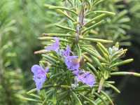 南京綠博園秋日限定藏在城市的絕美秘境