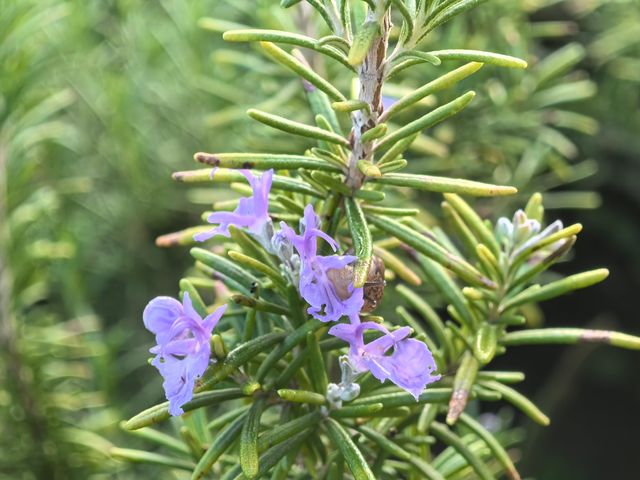 南京綠博園秋日限定藏在城市的絕美秘境 南京綠博園秋日限定藏在城市的絕美秘境