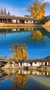 蘇州太平老街|邂逅千年銀杏的古寺禪意