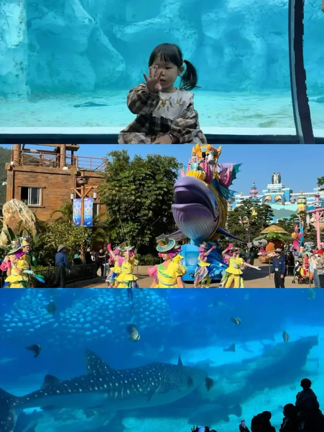 2歲寶寶,珠海長隆2天1晚遊玩攻略 2歲寶寶,珠海長隆2天1晚遊玩攻略