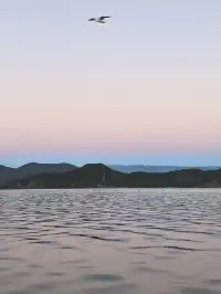 被瀘沽湖美鼠！12.4實拍！