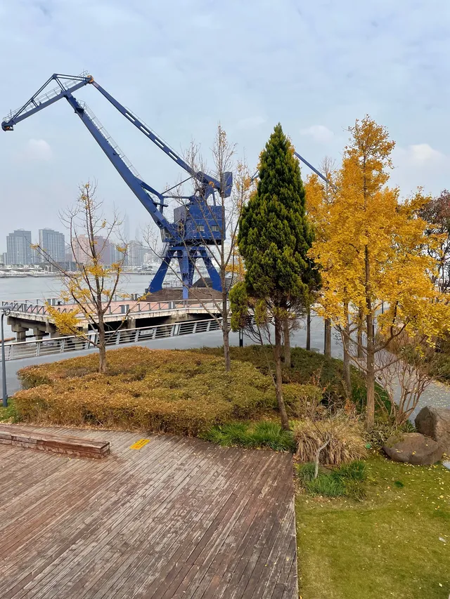 世博公園限時銀杏，週末快衝| 附機位攻略