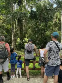 古晉十日：從山都望雨林到砂拉越河岸