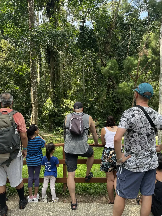 古晉十日：從山都望雨林到砂拉越河岸