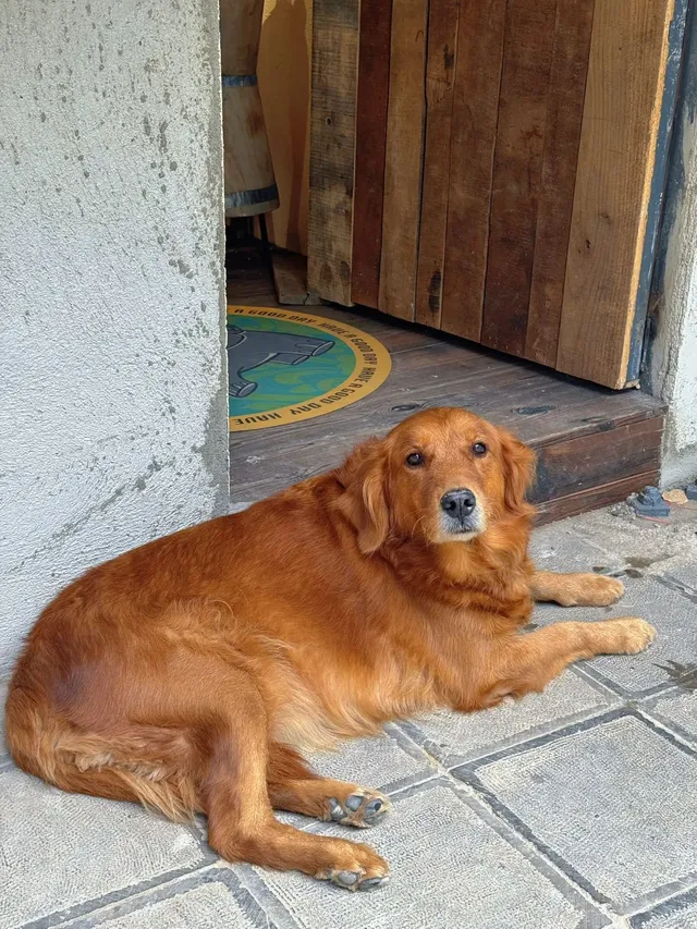 在熱帶冬天裡，被花卉園治癒的8小時