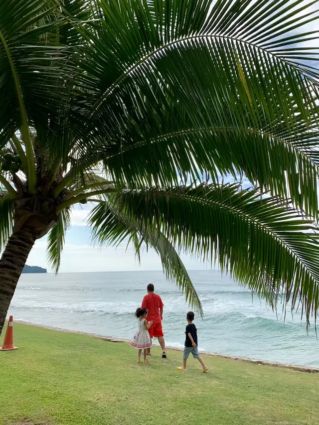 是誰在炒冷飯|杭州-馬來西亞沙巴5日遊 是誰在炒冷飯|杭州-馬來西亞沙巴5日遊