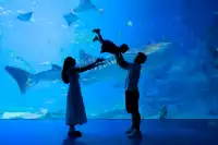 不到 150 找的珠海長隆跟拍踩雷了嗎?