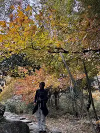 江西萍鄉/武功山一天正穿